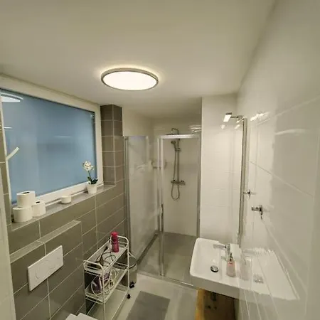 Haas Slepa, Centre, Parking, Courtyard Apartment *