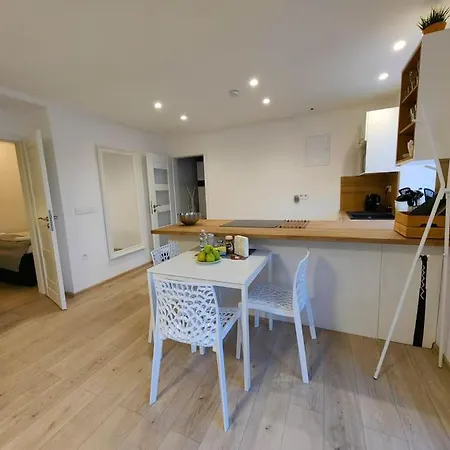 Apartament Haas Slepa, Centre, Parking, Courtyard Brno